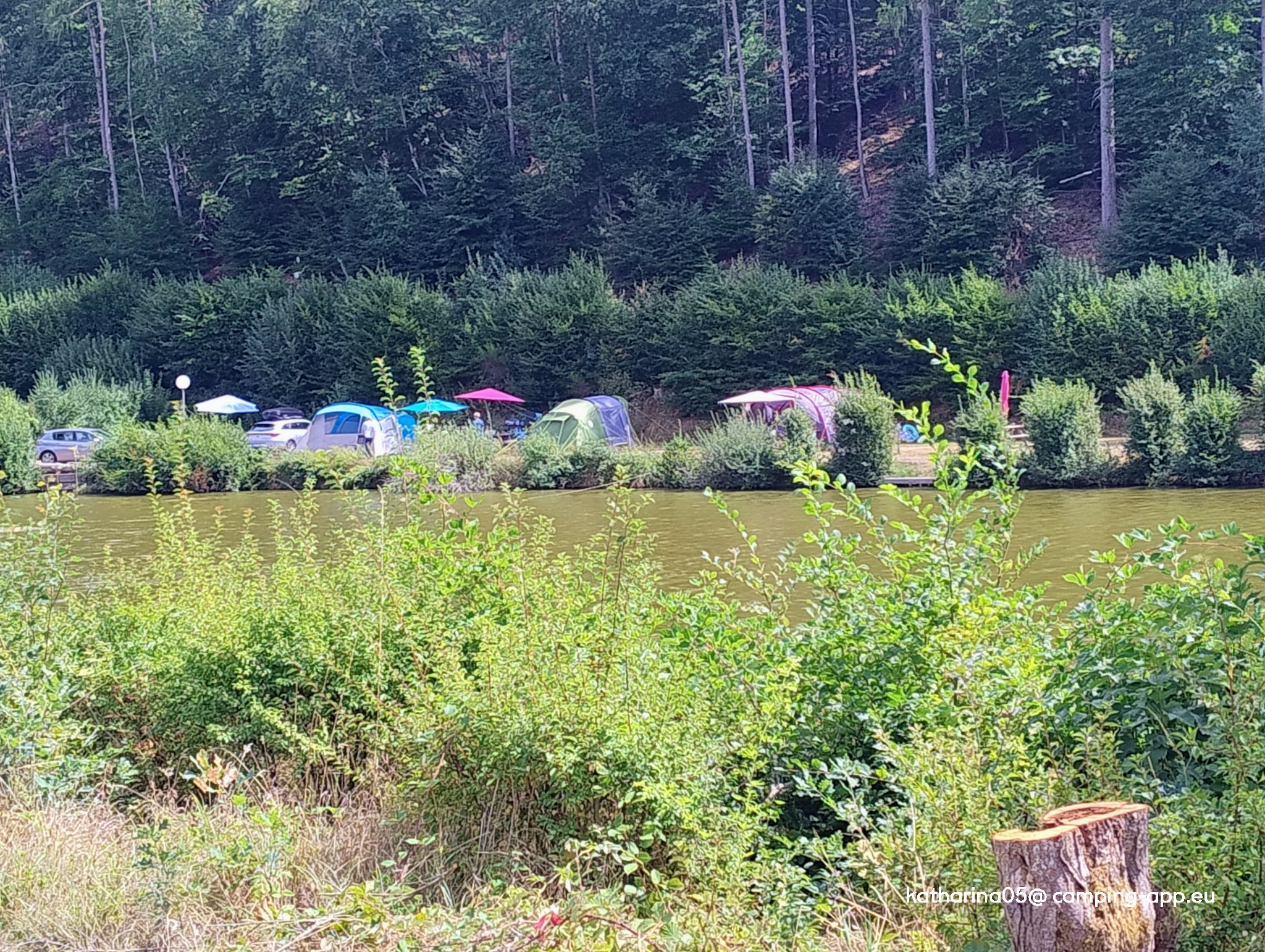 Camping du Mulenbach — Fotoğraf 2