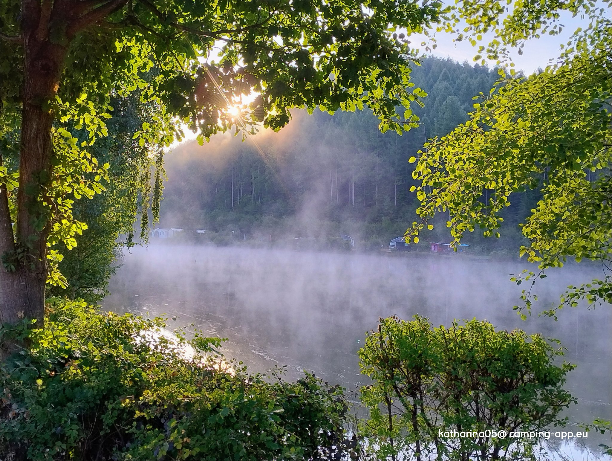 Camping du Mulenbach — Fotoğraf 3
