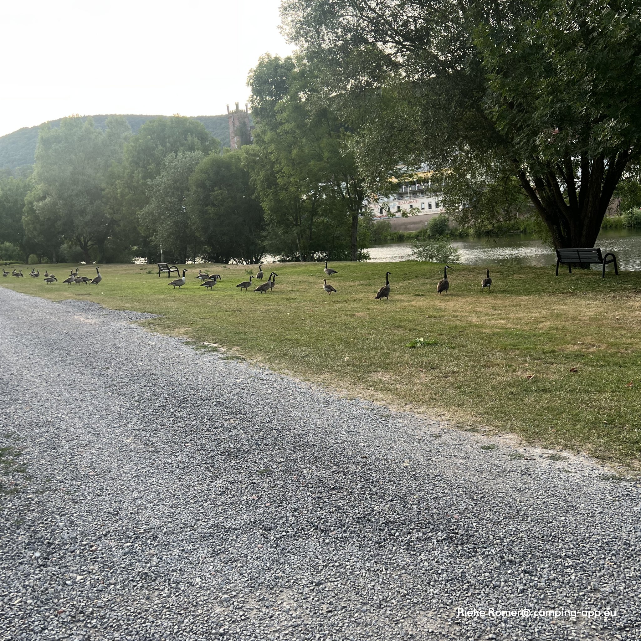 Camping unterm Dilsberg — Foto 2