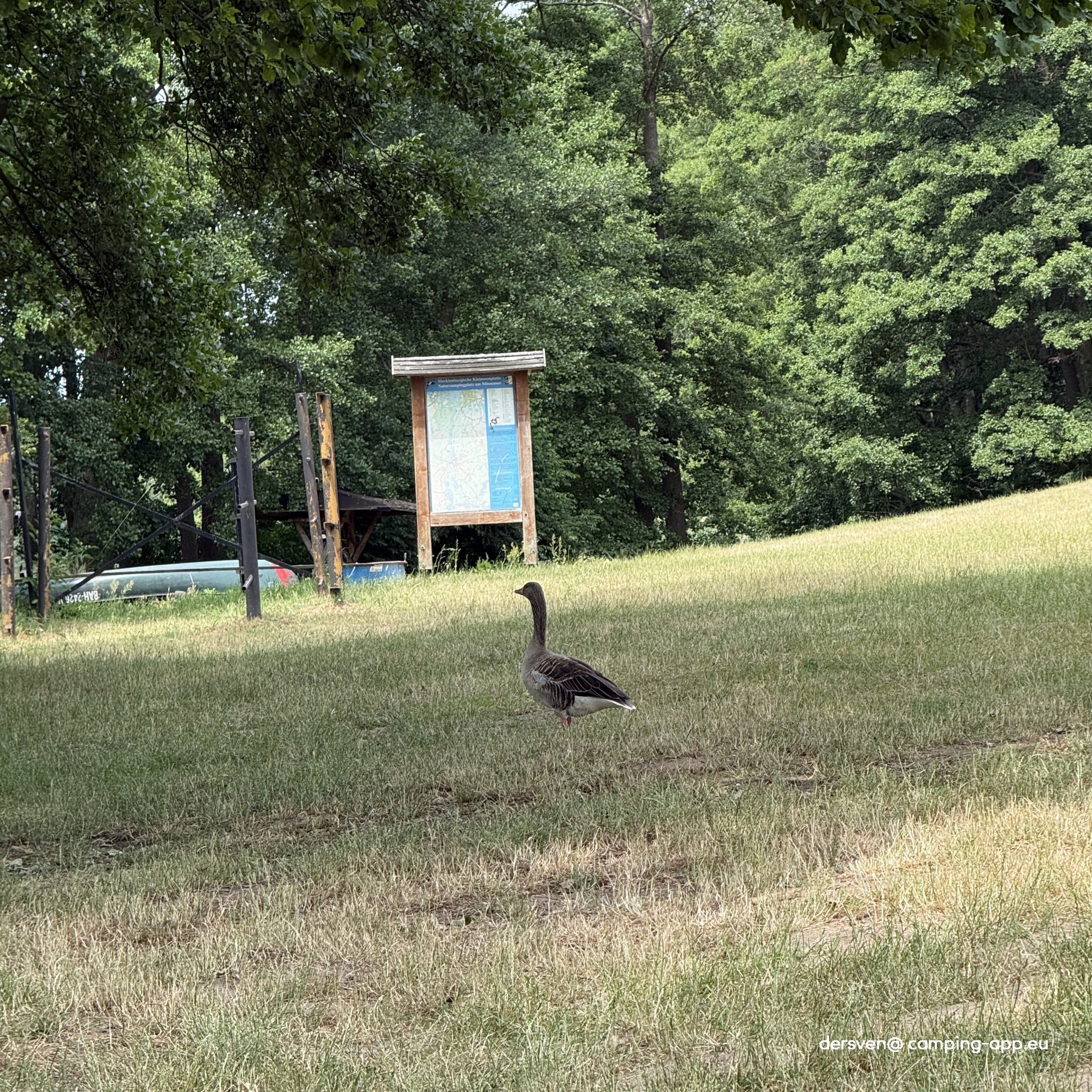 Naturcampingplatz on Mössensee — Foto 2