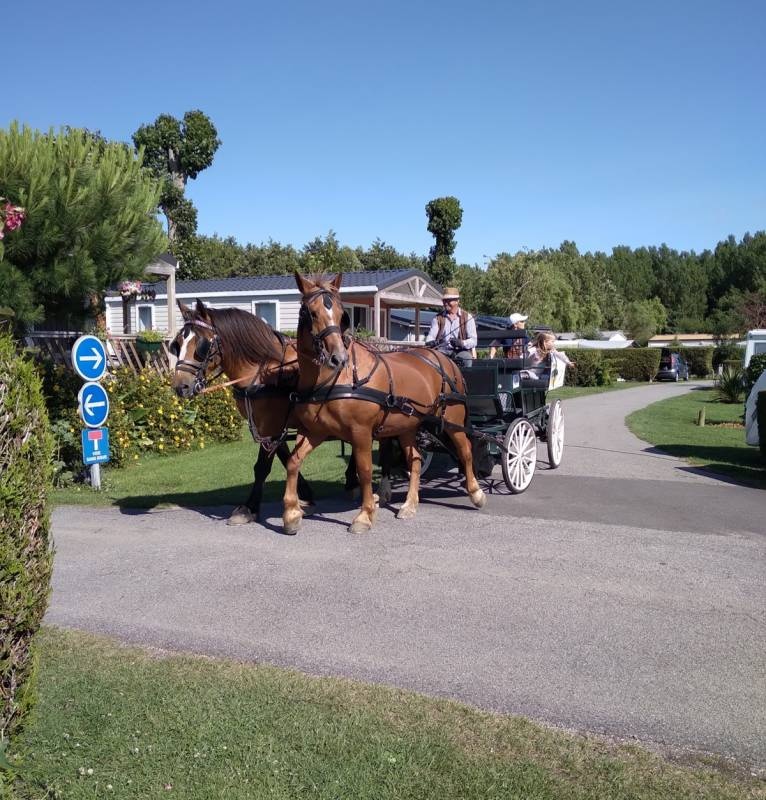 Camping Le Marqueval — Camping in Hautot-sur-Mer