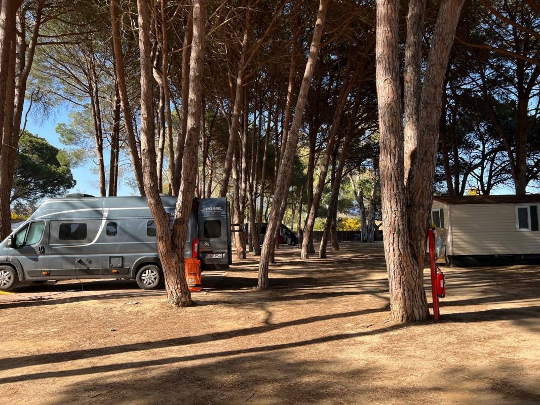 Camping Le Cernie — Sítio de acampamento in Lotzorai