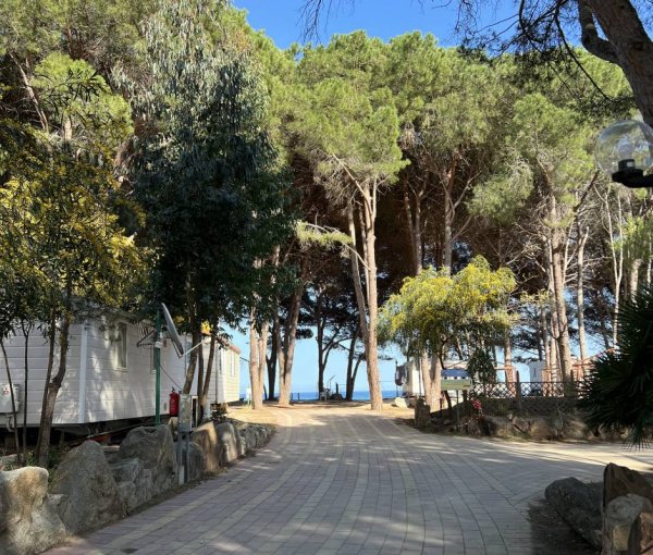 Camping Le Cernie — Photo 5