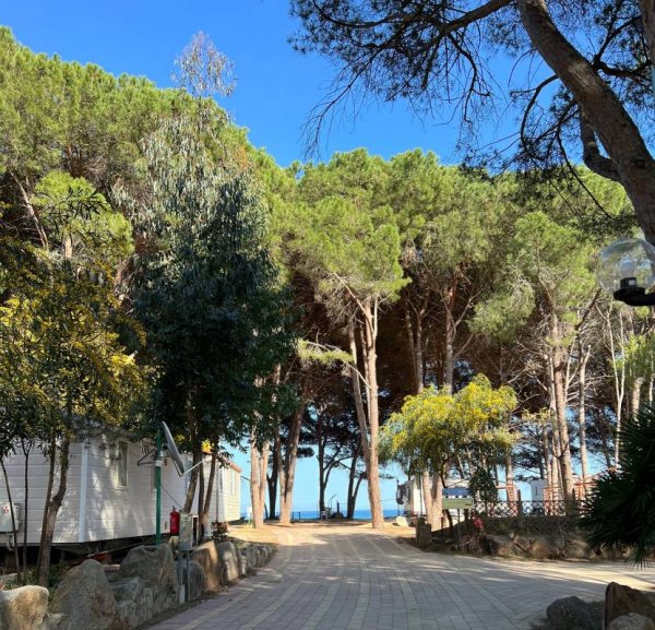 Camping Le Cernie — Photo 3