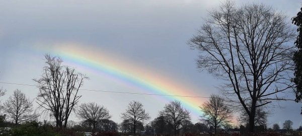 Heide Resort Brüggen — Photo 3