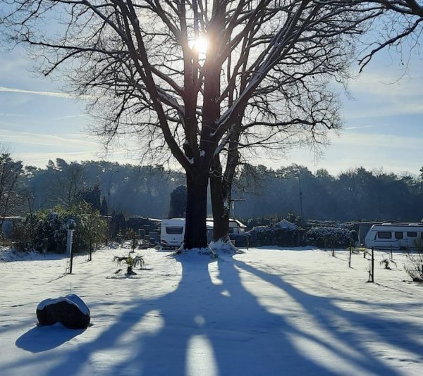 Heide Resort Brüggen — Photo 6