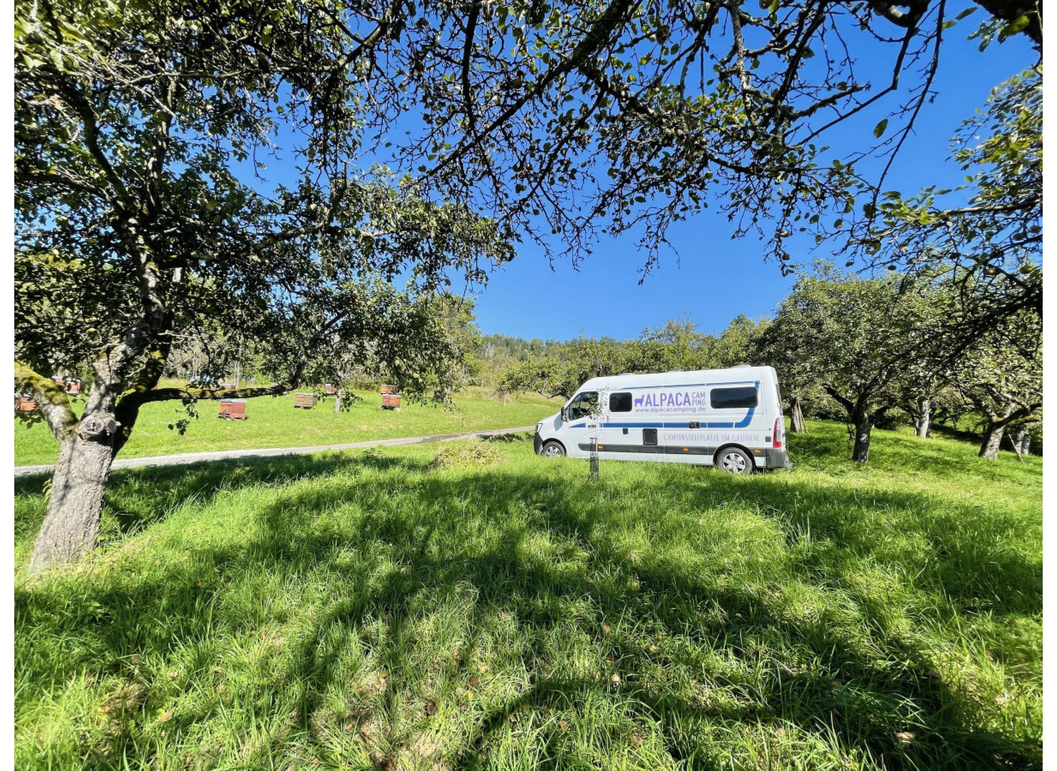 Bio Streuobstwiese Urbacher Idylle — Stellplatz in Urbach