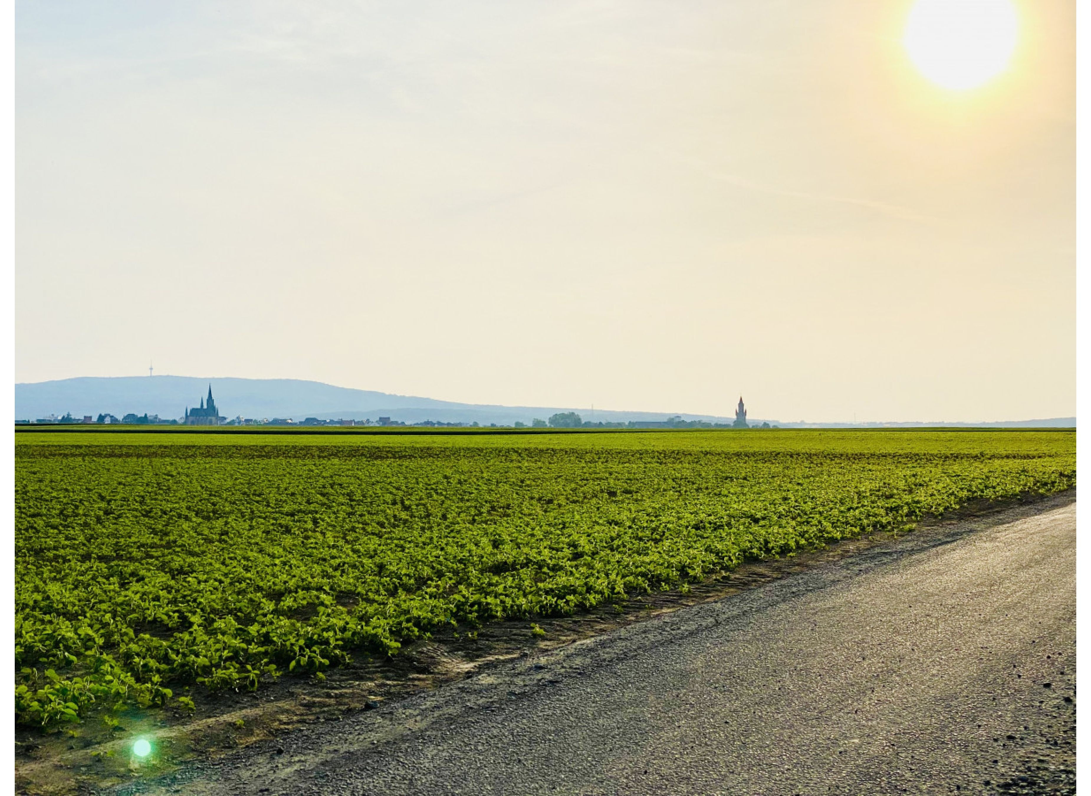 Stellplätzchen auf dem Hof #3 — Area di sosta in Friedberg