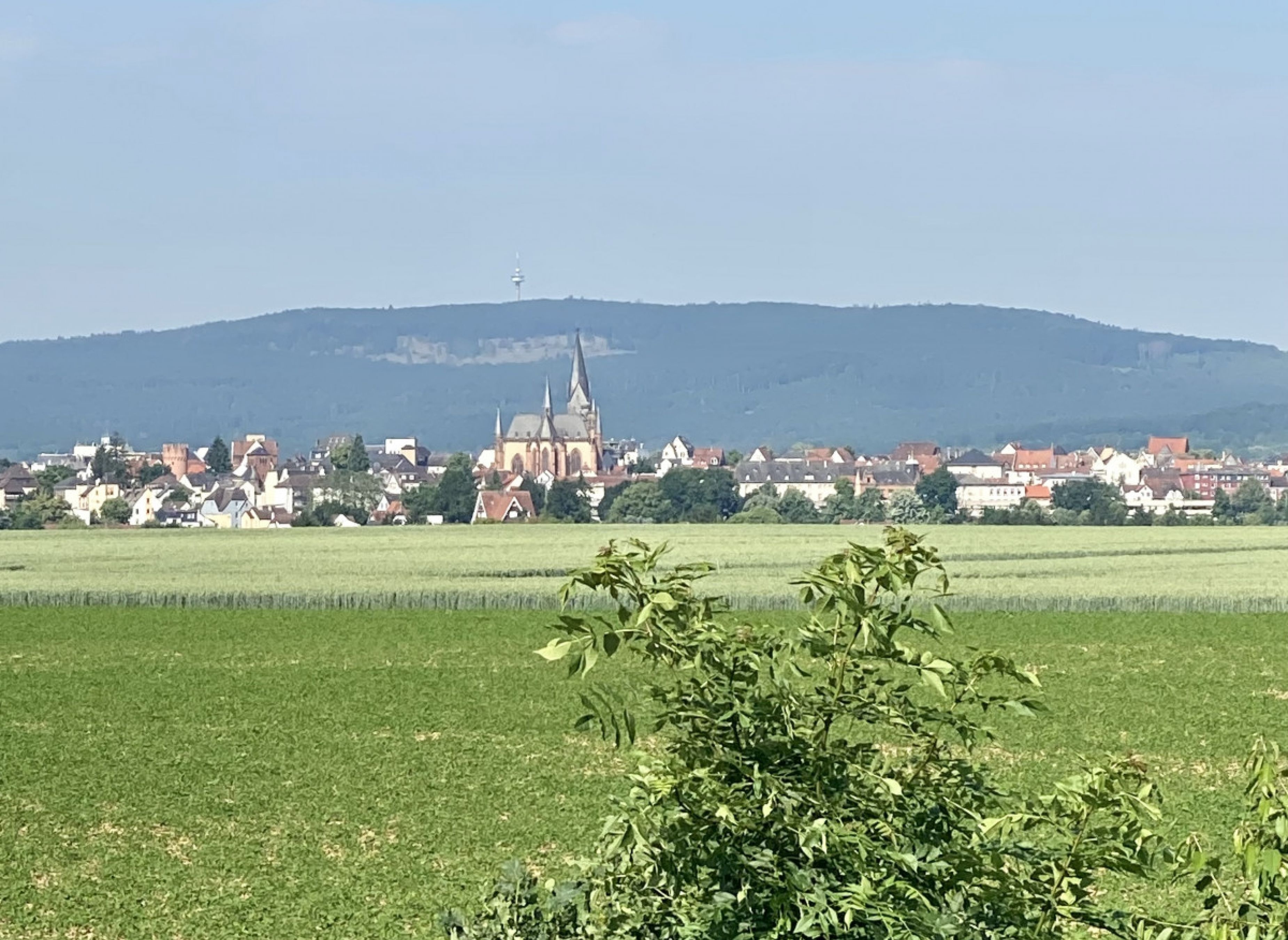 Stellplätzchen auf dem Hof #3 — Sp. parking dla kamperów in Friedberg