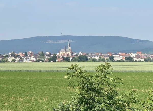 Stellplätzchen auf dem Hof #3