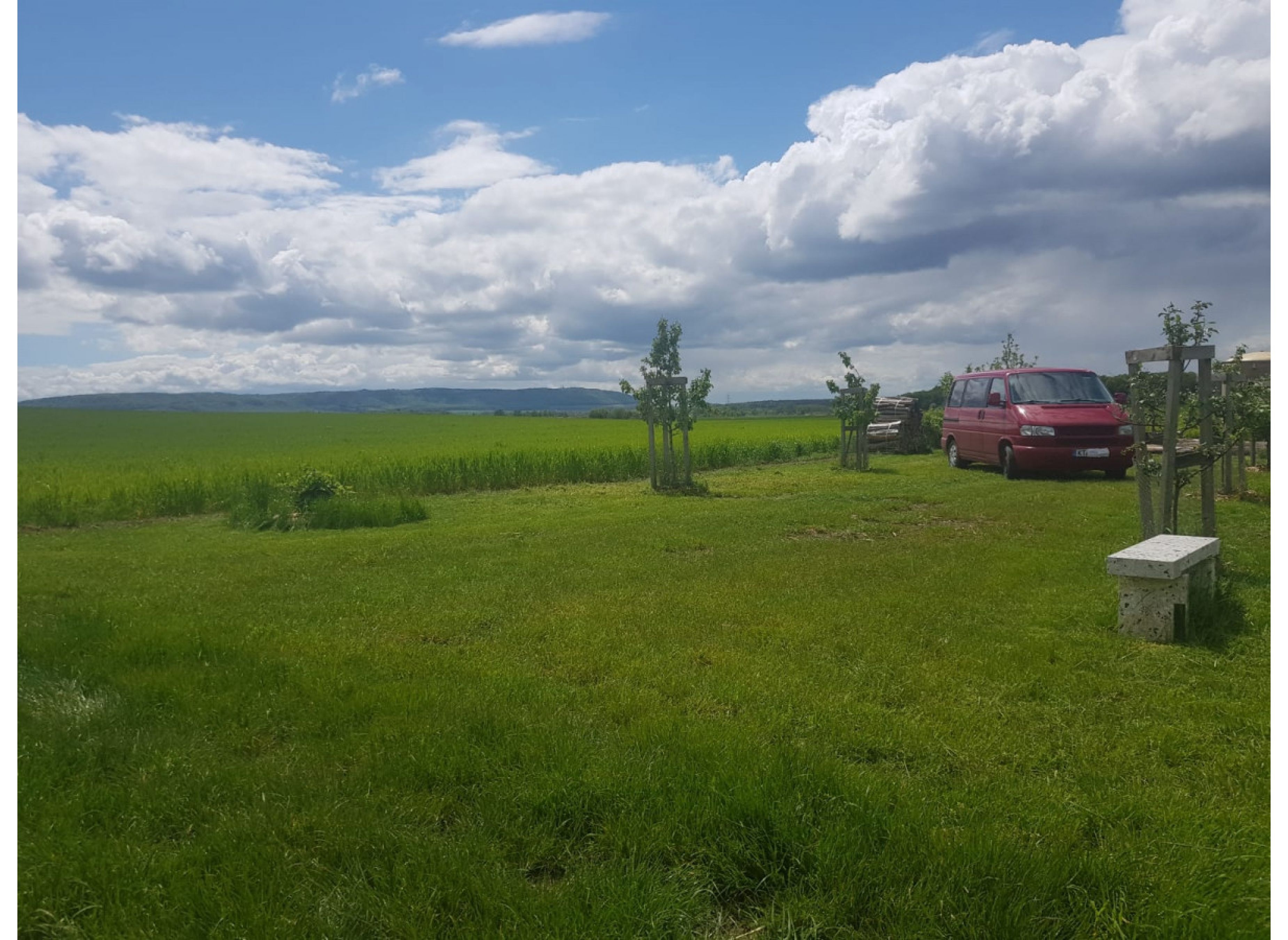 Zwischen den Bäumen — Karavan Sitesi in Abtswind