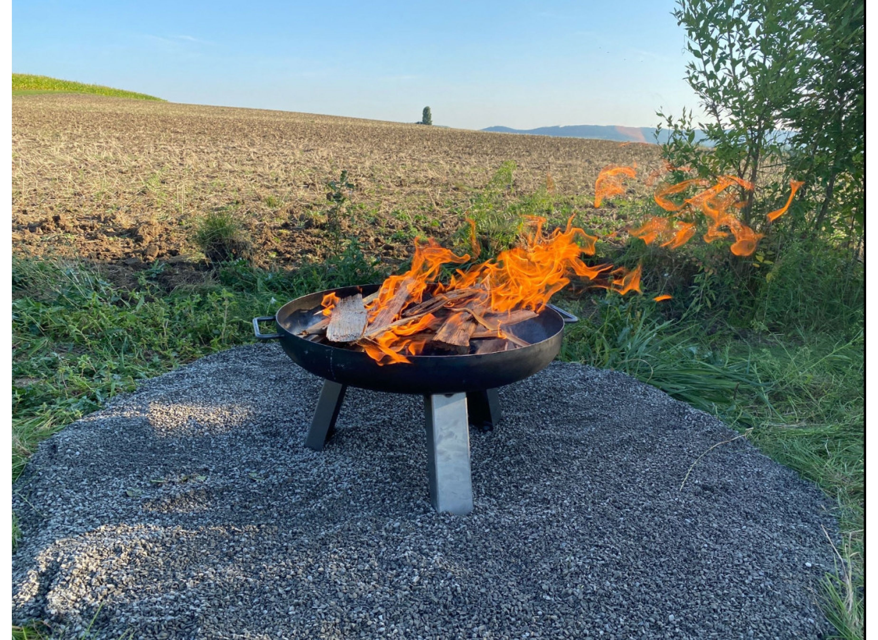Zwischen den Bäumen — Camperplads in Abtswind