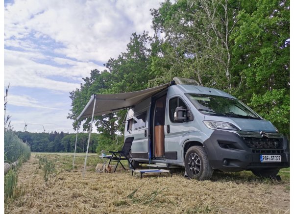 Idyllische Lage am Waldrand — Photo 2