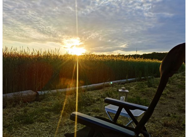 Idyllische Lage am Waldrand