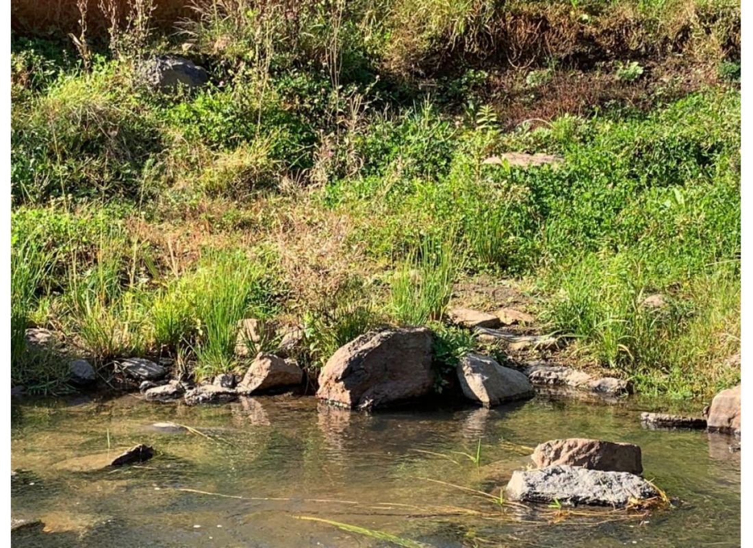 Idylle am Elbbach — Camperplaats in Kaden