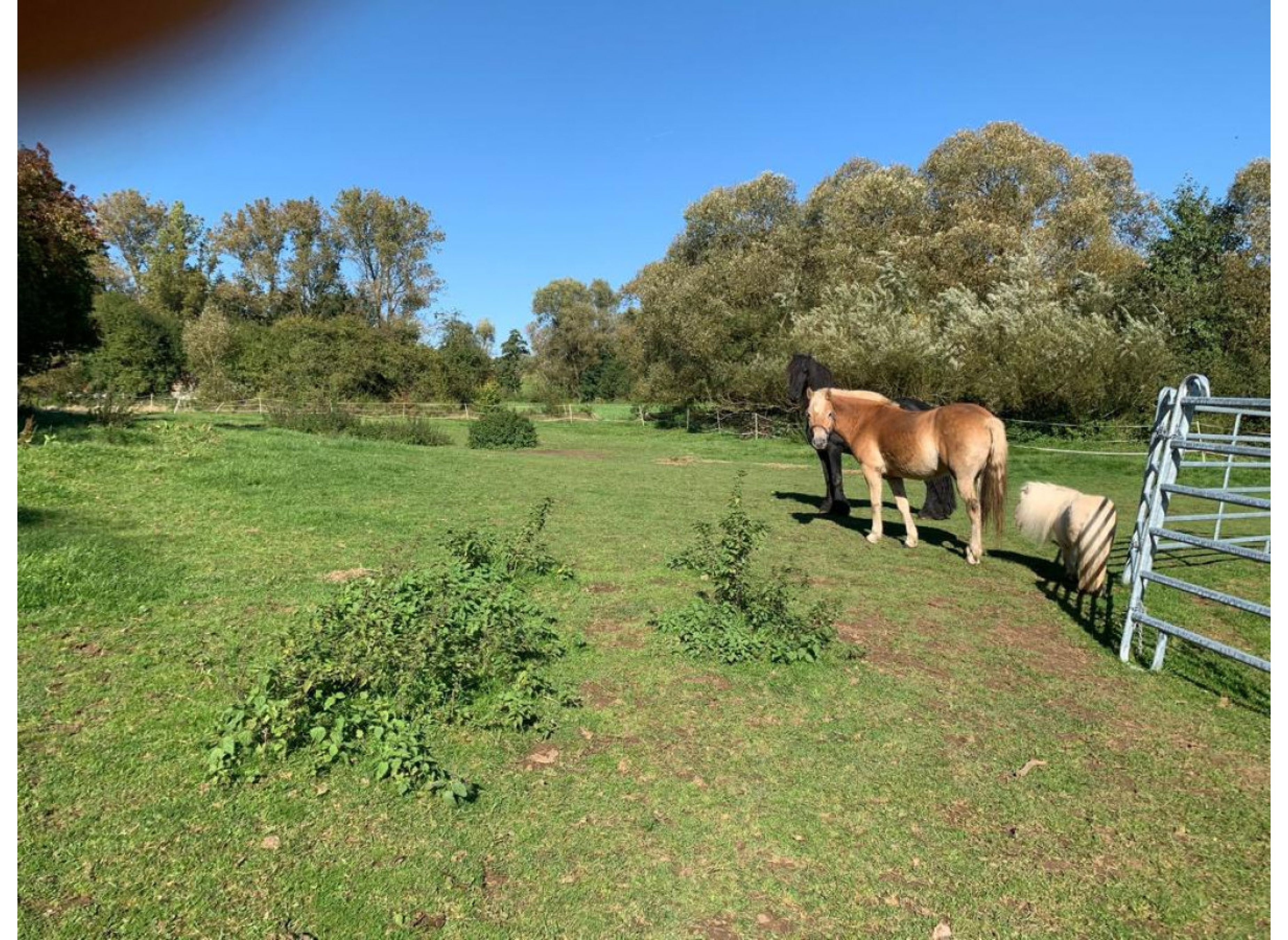 Idylle am Elbbach — Camperplads in Kaden