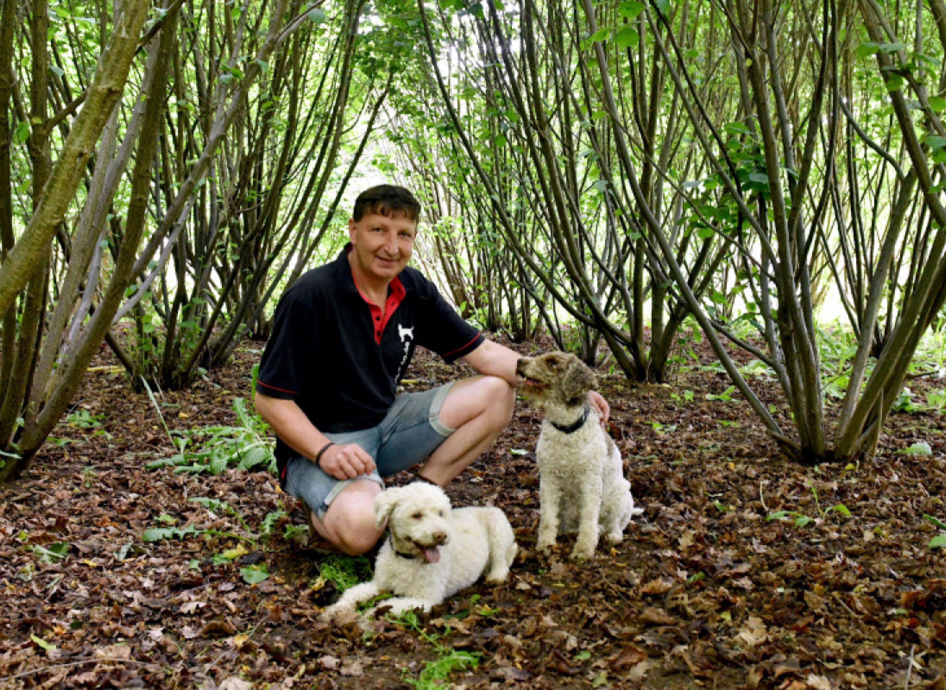 Stellplatz auf Sachsens Erster Trüffelplantage #1 — Camperplaats in Eilenburg