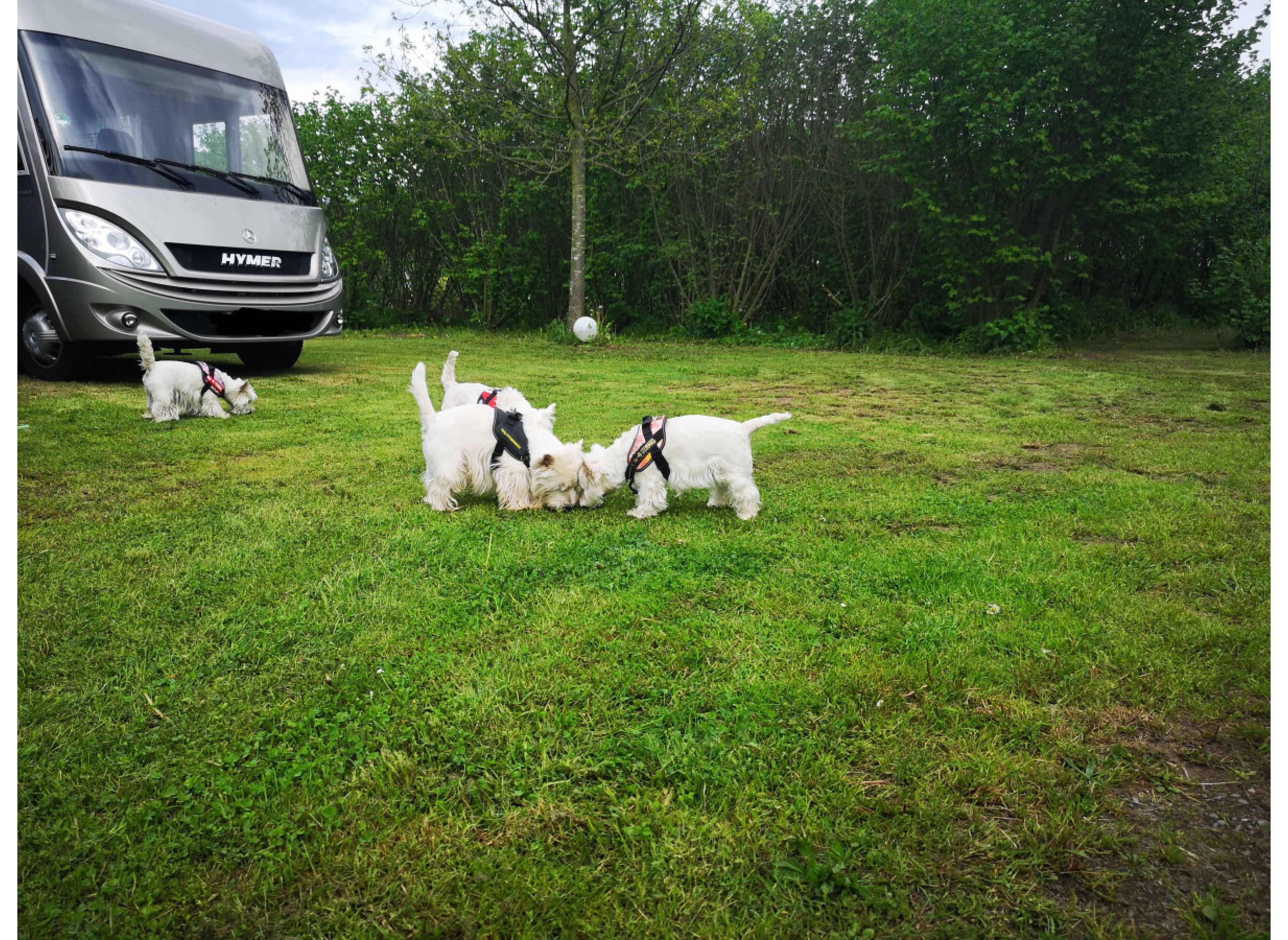 Stellplatz auf Sachsens Erster Trüffelplantage #1 — Karavan Sitesi in Eilenburg