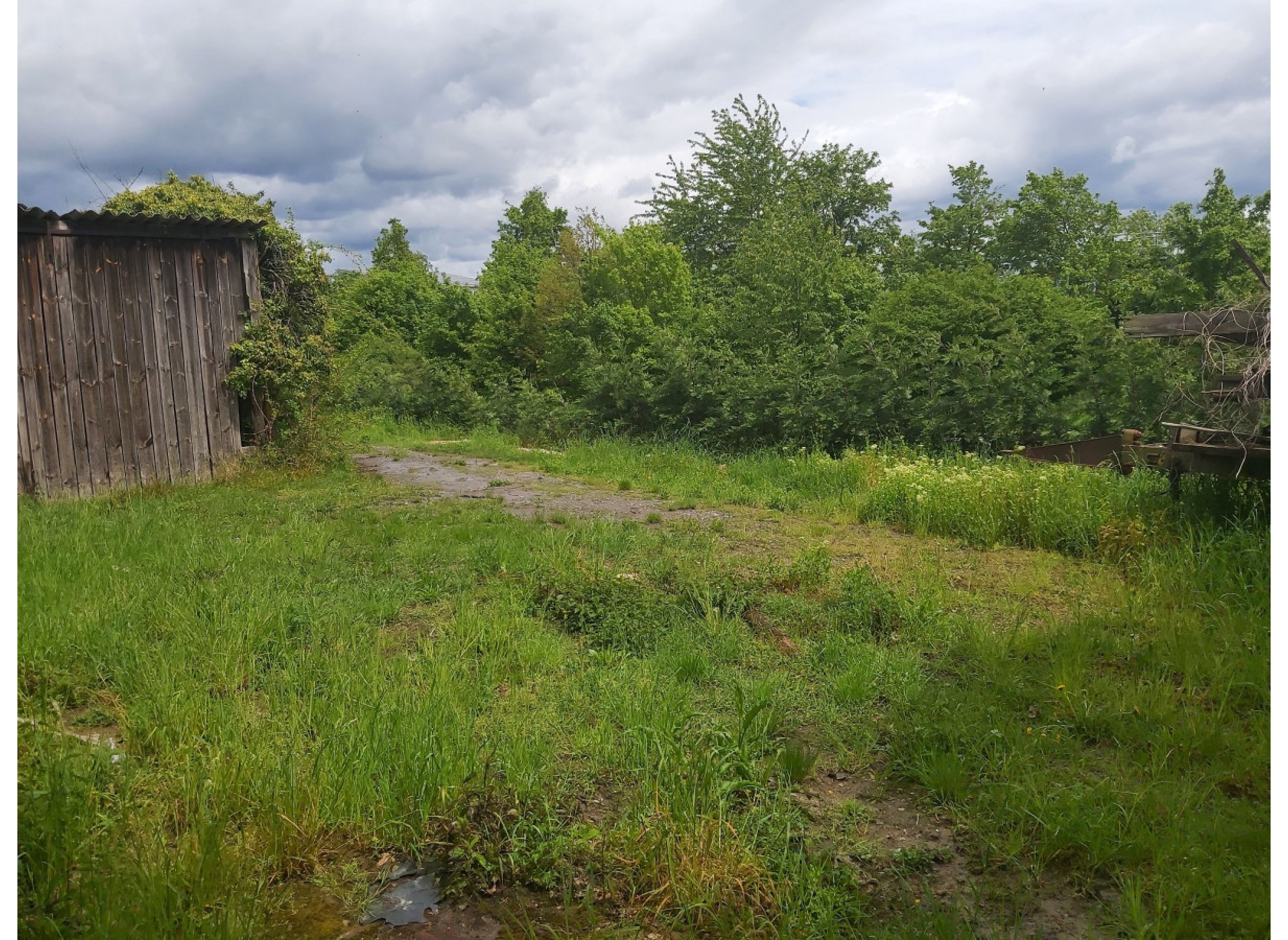 Alleinlage unterhalb der Weinberge, mit 220V, 100m zum Main (Fluss) — Ställplats in Dettelbach