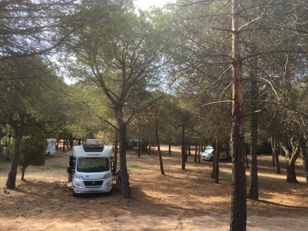 Parking de la plage — Aire camping car in Porto-Vecchio