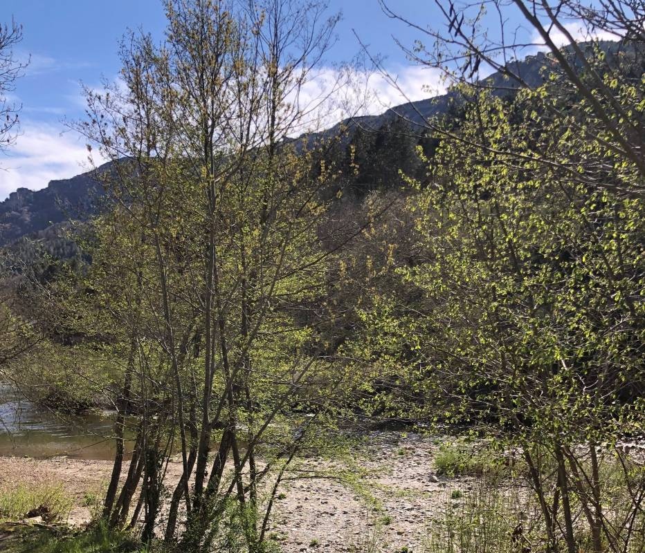 Camping Le Vagabond — Campingplass in Florac-Trois-Rivières