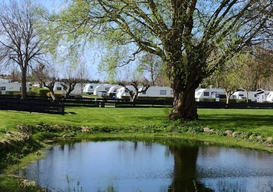 De Hvide Svaner Camping — 露营地 in Karrebæksminde