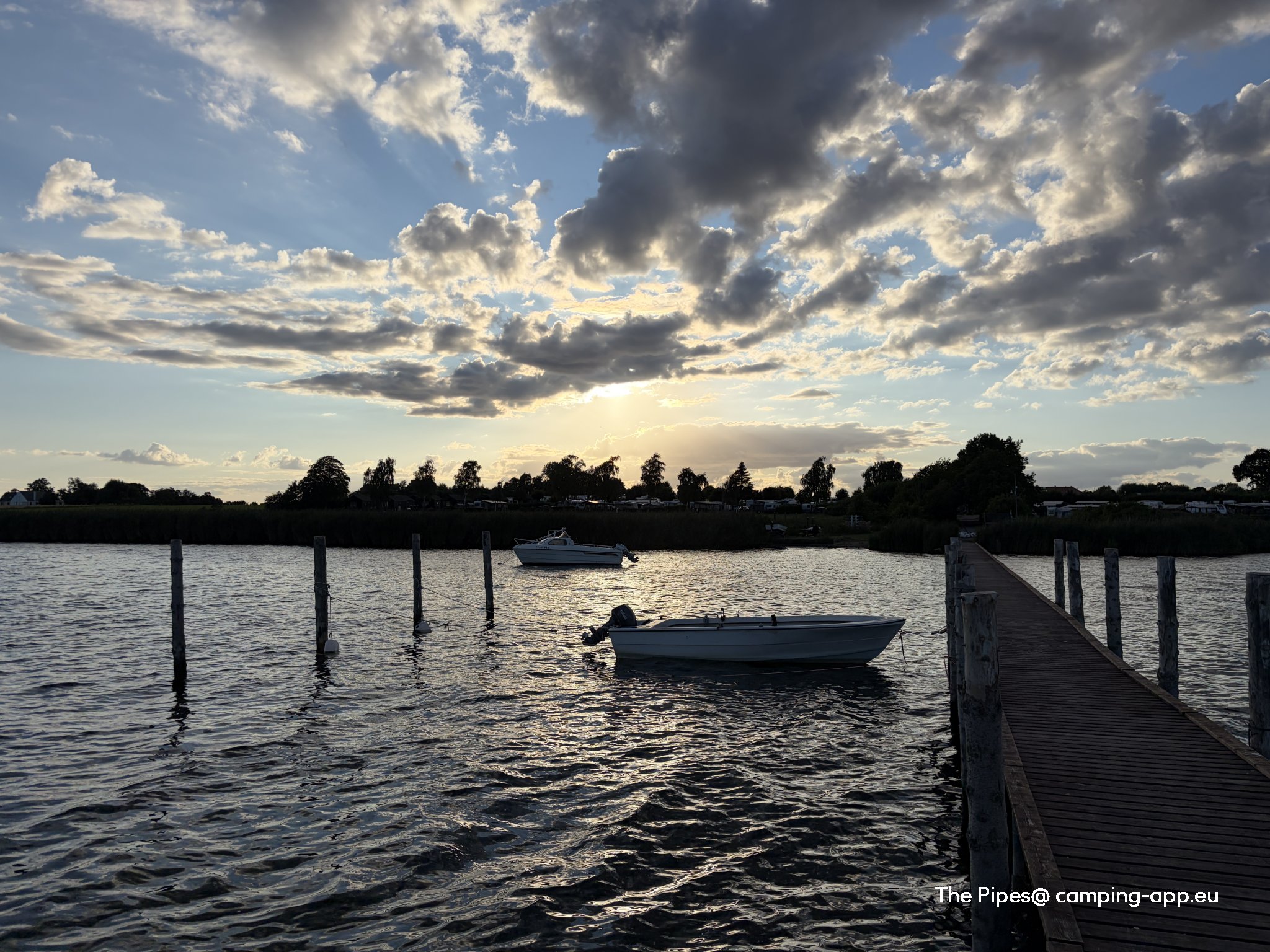 De Hvide Svaner Camping — Foto 6