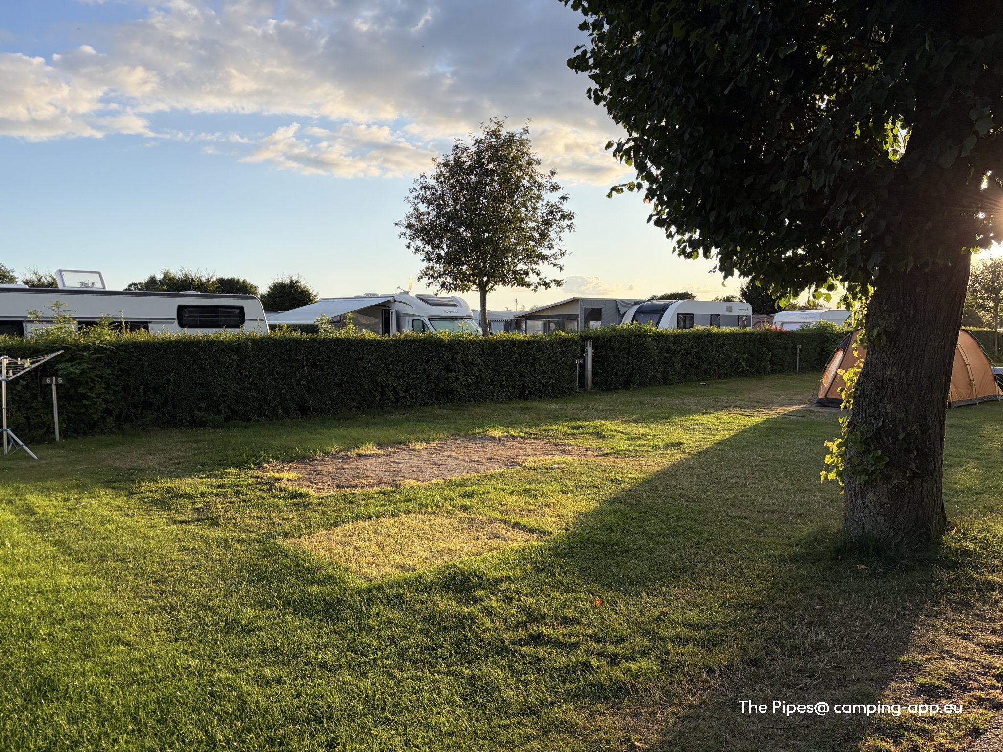 De Hvide Svaner Camping — Foto 2