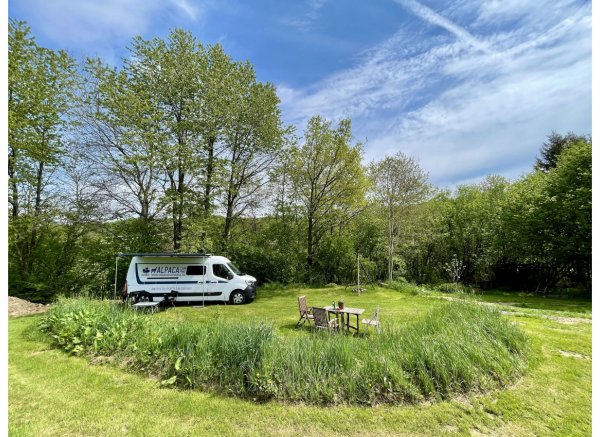 Wunderschöner Campingort auf einer saftig grünen Wiese neben einem Wald