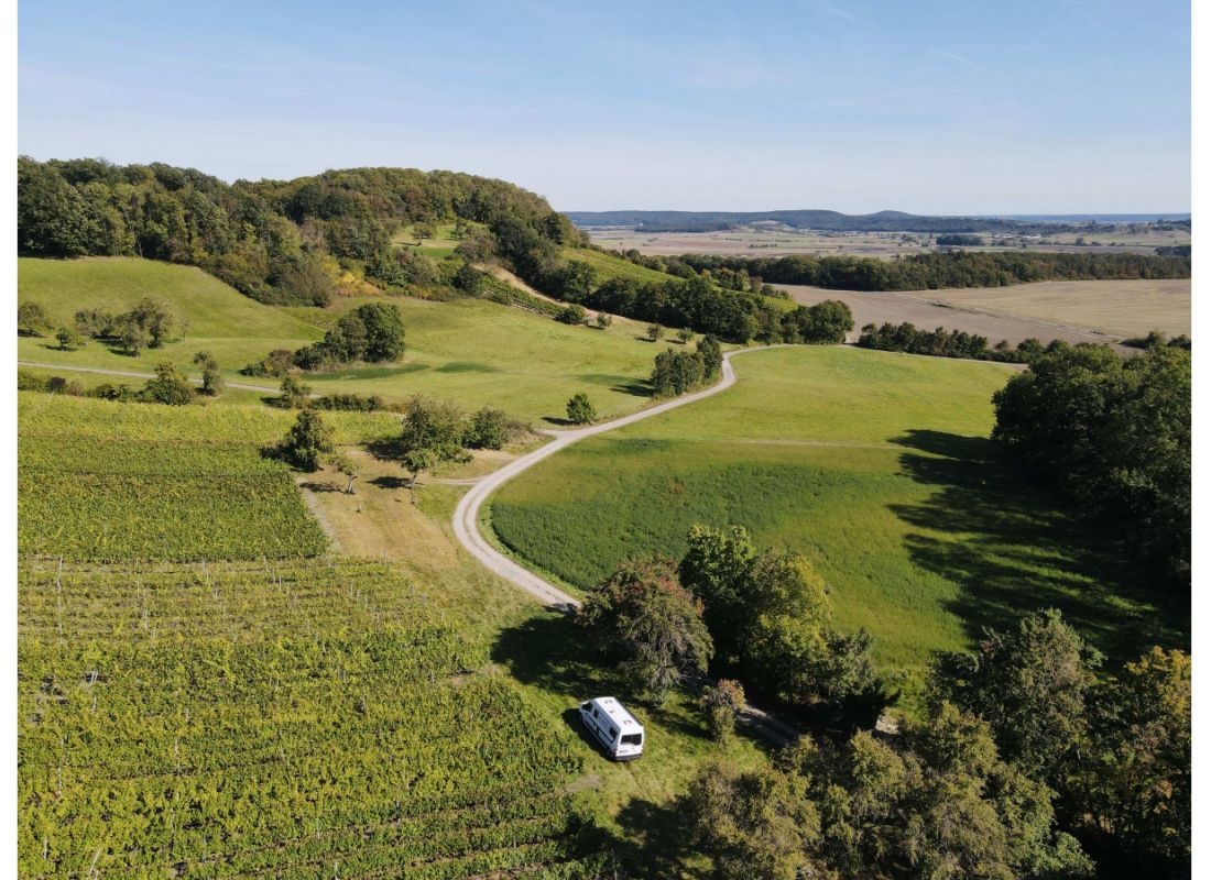 Unter den hinteren Weinbergen Hohenkottenheim zwischen den Bäumen — Weingut in Markt Nordheim