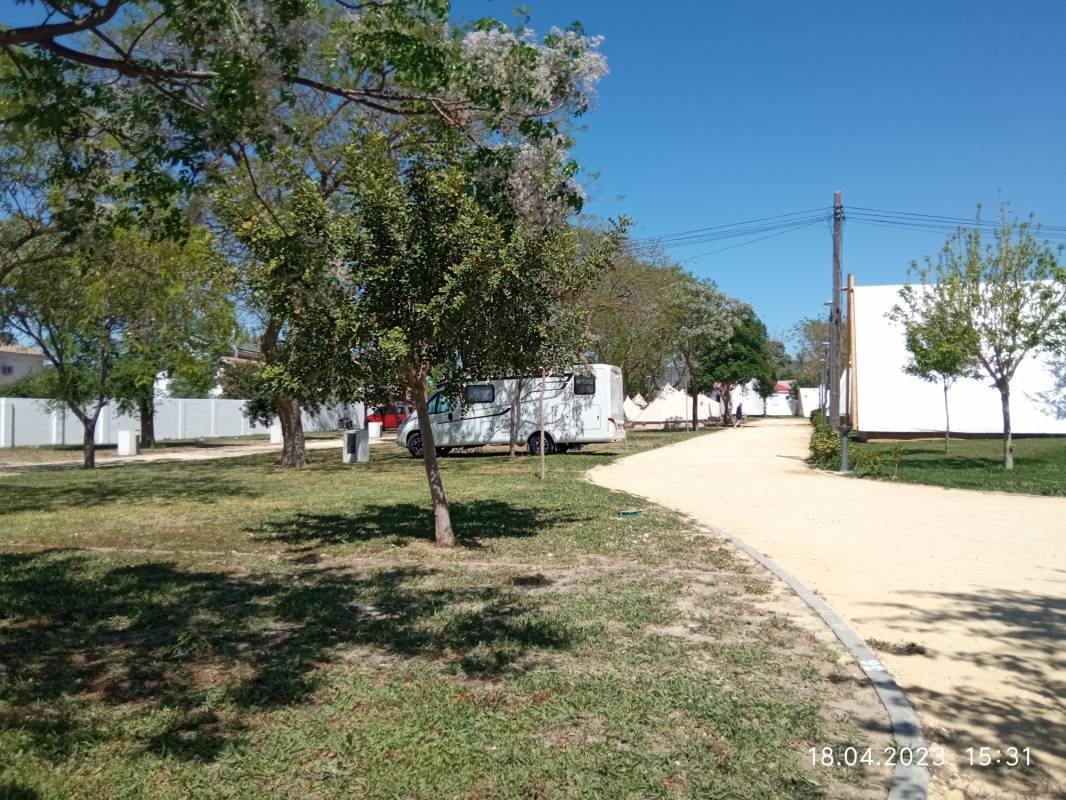 Camping Lago de Arcos — Campingplatz in Arcos de la Frontera