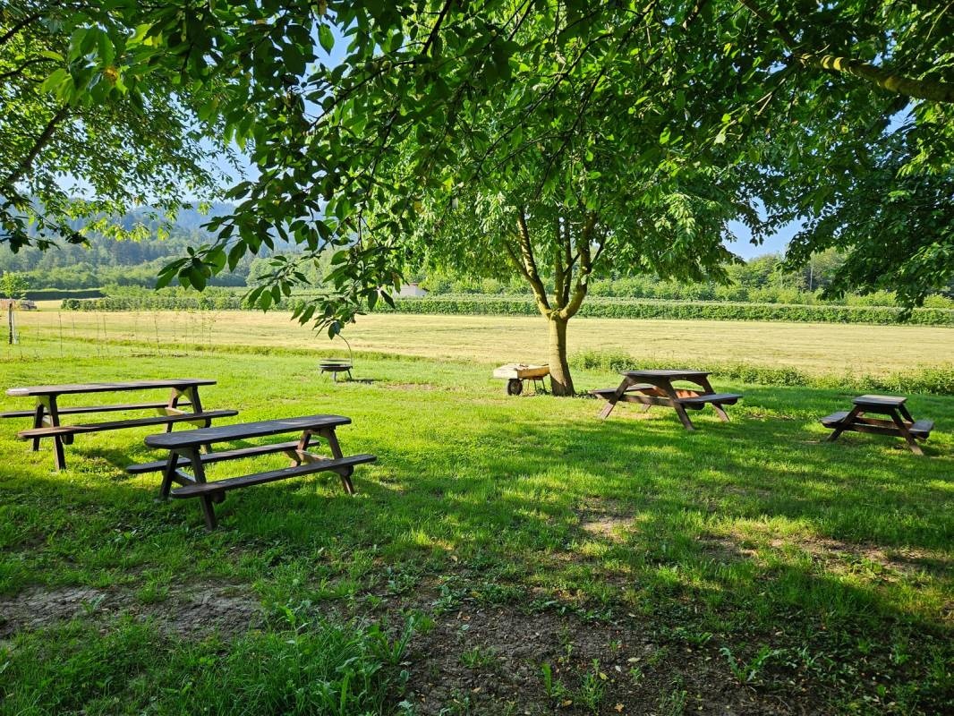 Wiesencamp Wörner — Karavan Sitesi in 