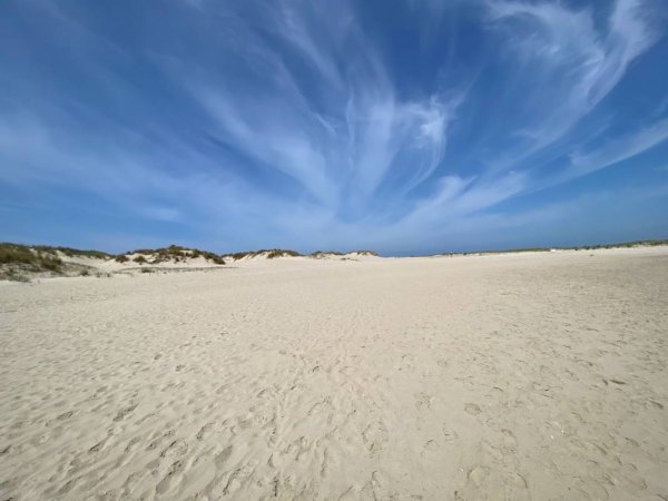Stellplatz Le Touquet Paris Plage — Photo 6