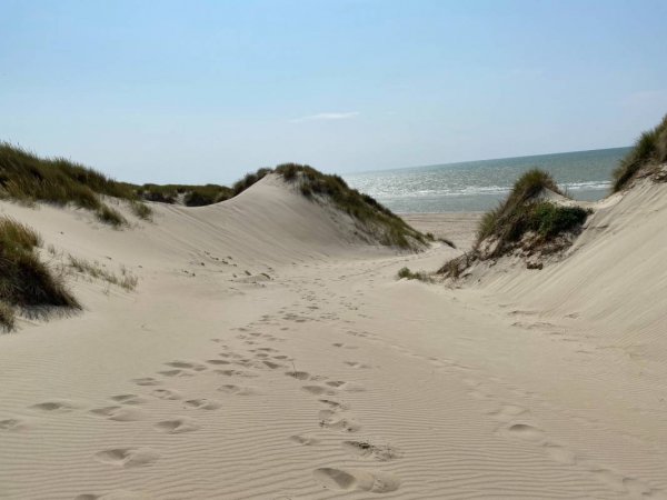 Stellplatz Le Touquet Paris Plage — Photo 4