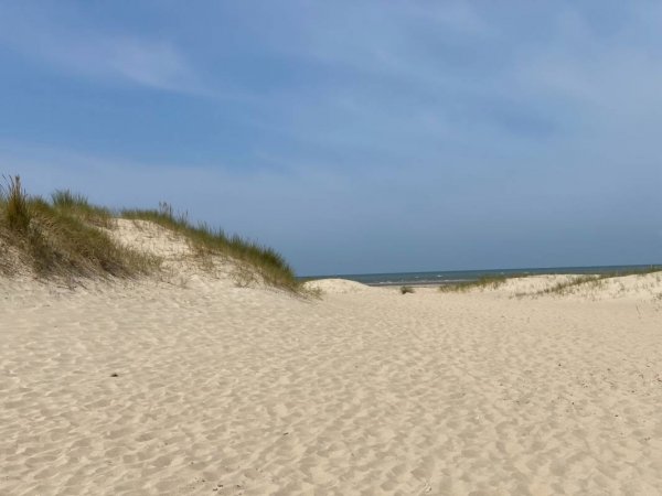 Stellplatz Le Touquet Paris Plage — Photo 3