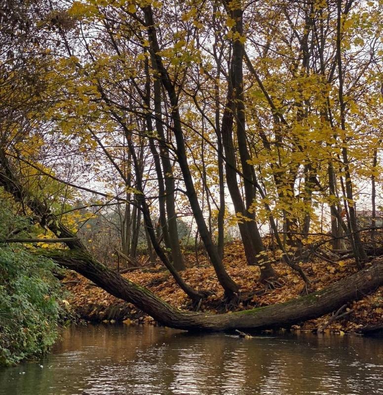 kajakowo.com.pl — Campingplads in Zapolice