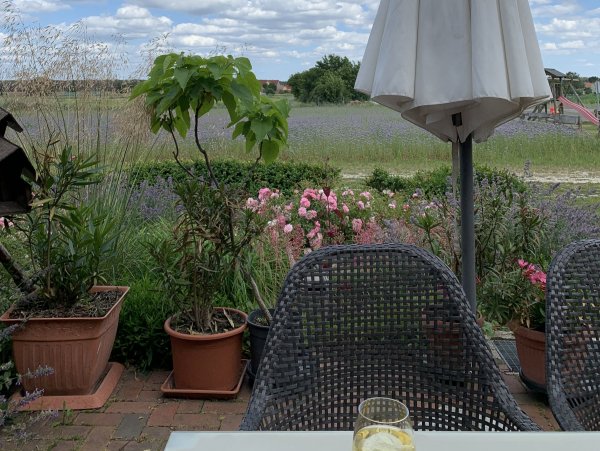 Stellplatz am Hotel Brandtsheide Wiesenburg — Zdjęcie 4