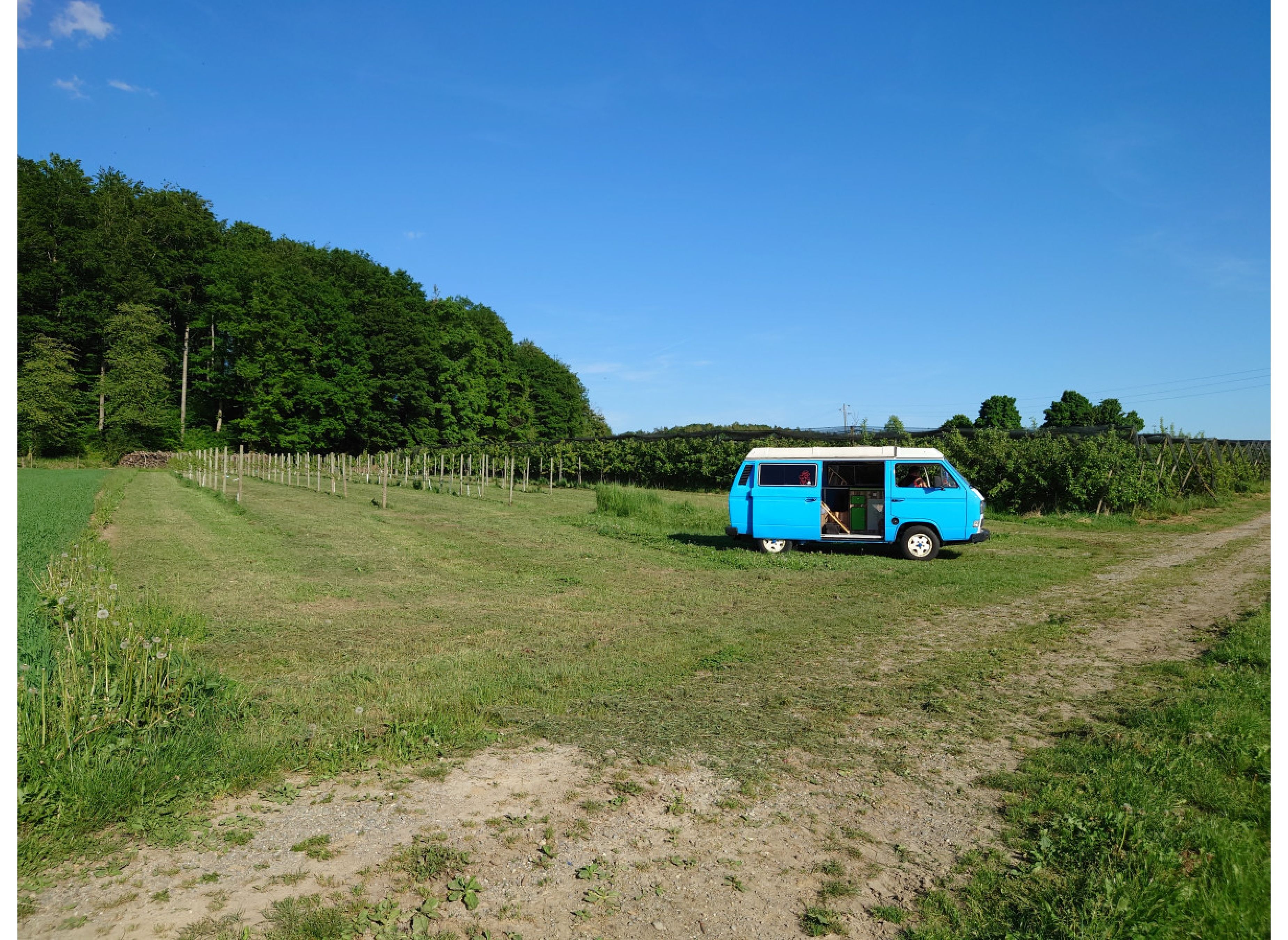 In mitten des Obsttraumes — Bobilplass in Bermatingen