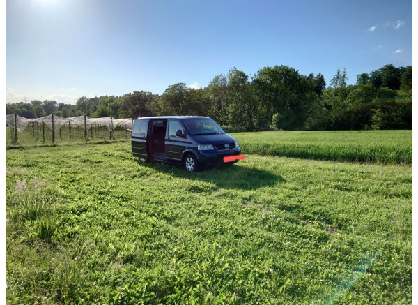 In mitten des Obsttraumes — Photo 2