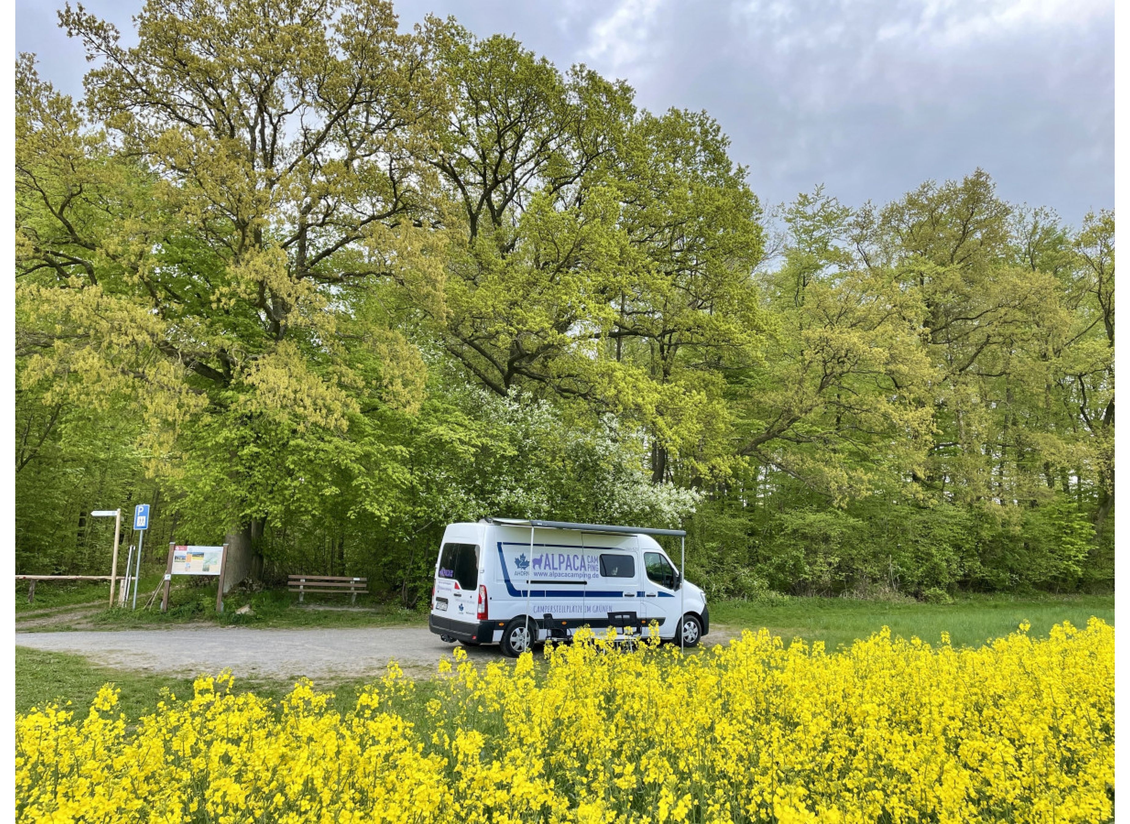 Weitblick vor dem Wald — Camperplads in Borgentreich