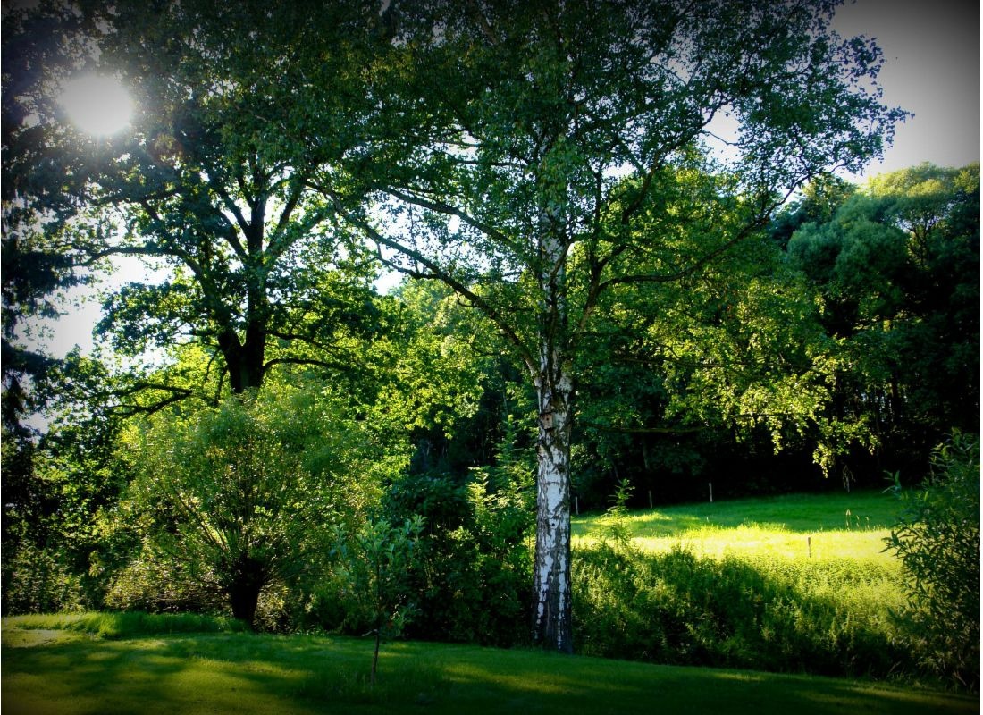 Ruhige Auszeit im Herzen der Oberlausitz — Campervan Site in Herrnhut