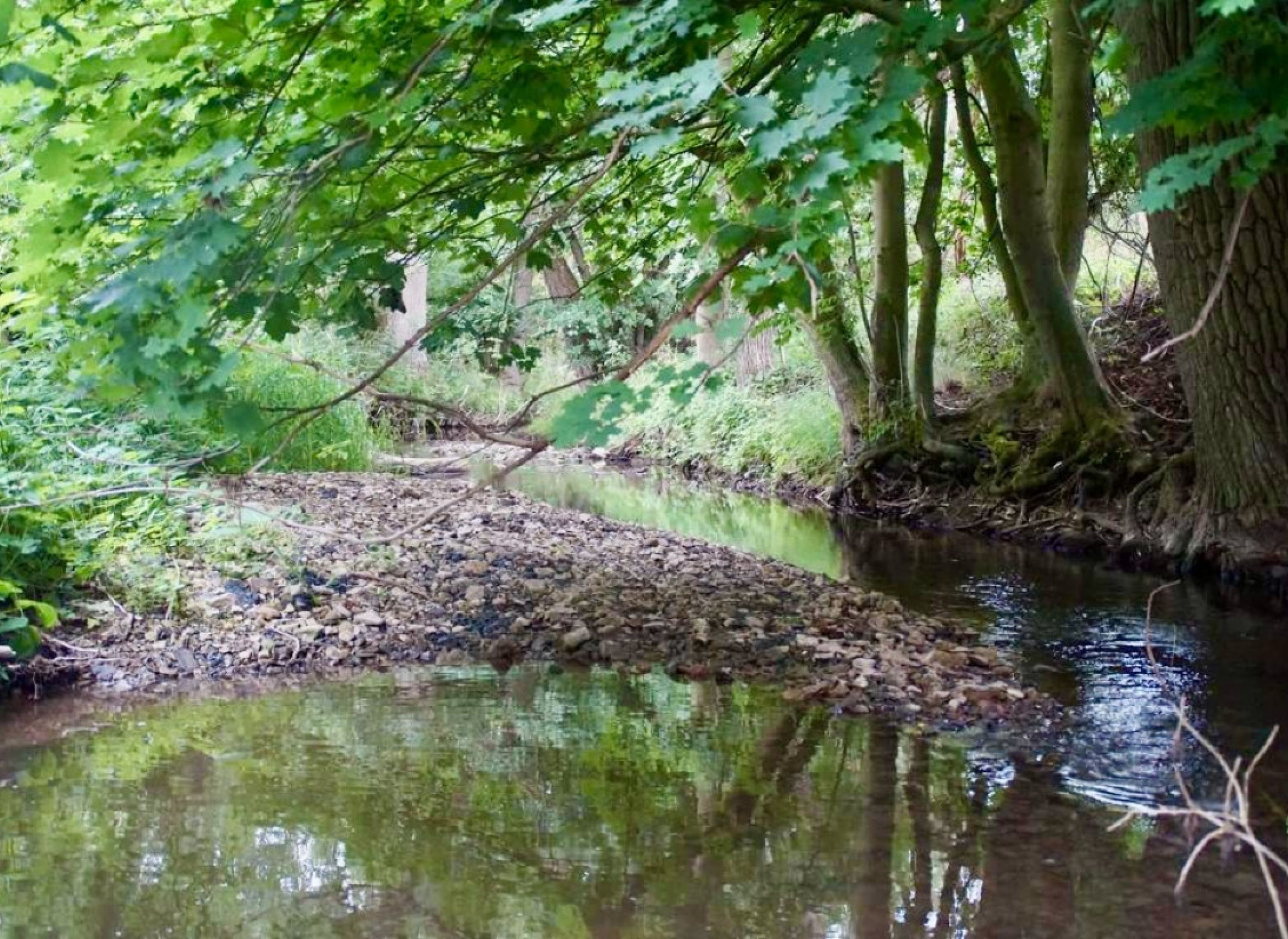Idyllischer Stellplatz direkt am Flussufer #2 — Bobilplass in Nieheim