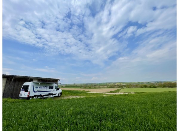 Im Ortsholz — Photo 2