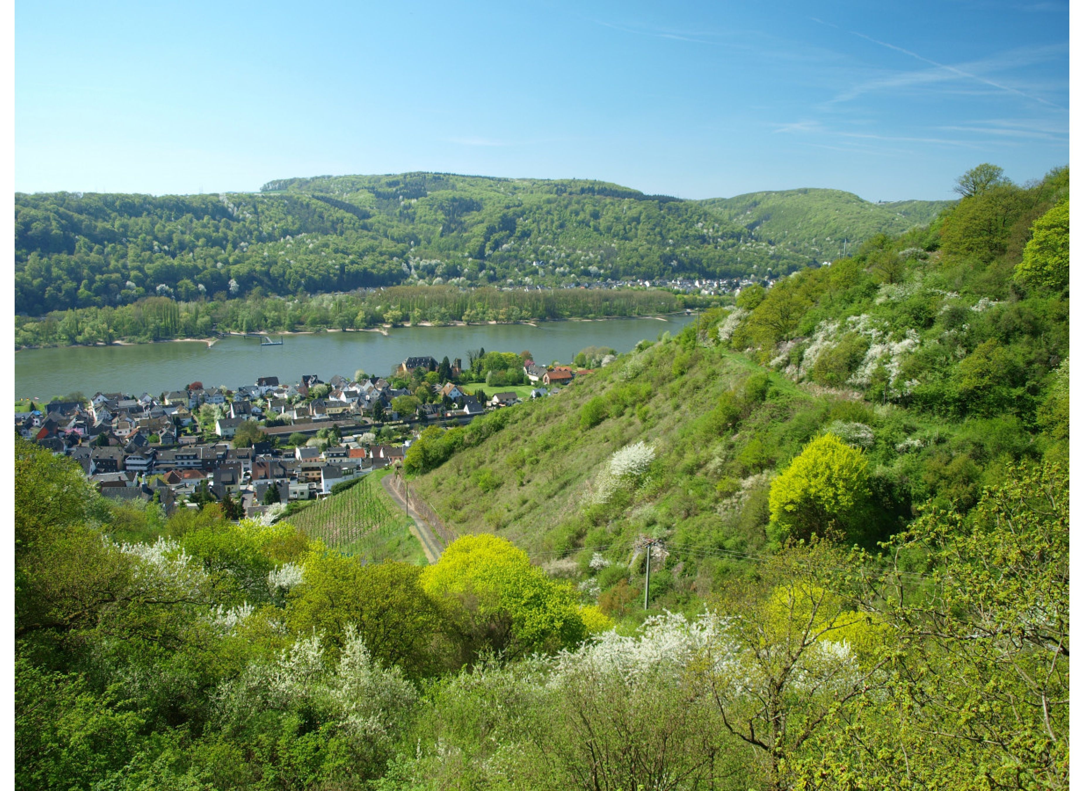 Wunderschöner Stellplatz in einem Wildpark oberhalb des Rheintals — Aire camping car in Leutesdorf