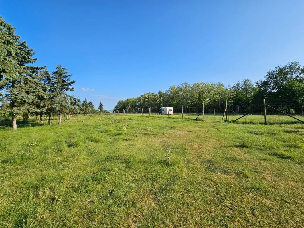 Wunderschöner Stellplatz in einem Wildpark oberhalb des Rheintals — Area di sosta in Leutesdorf