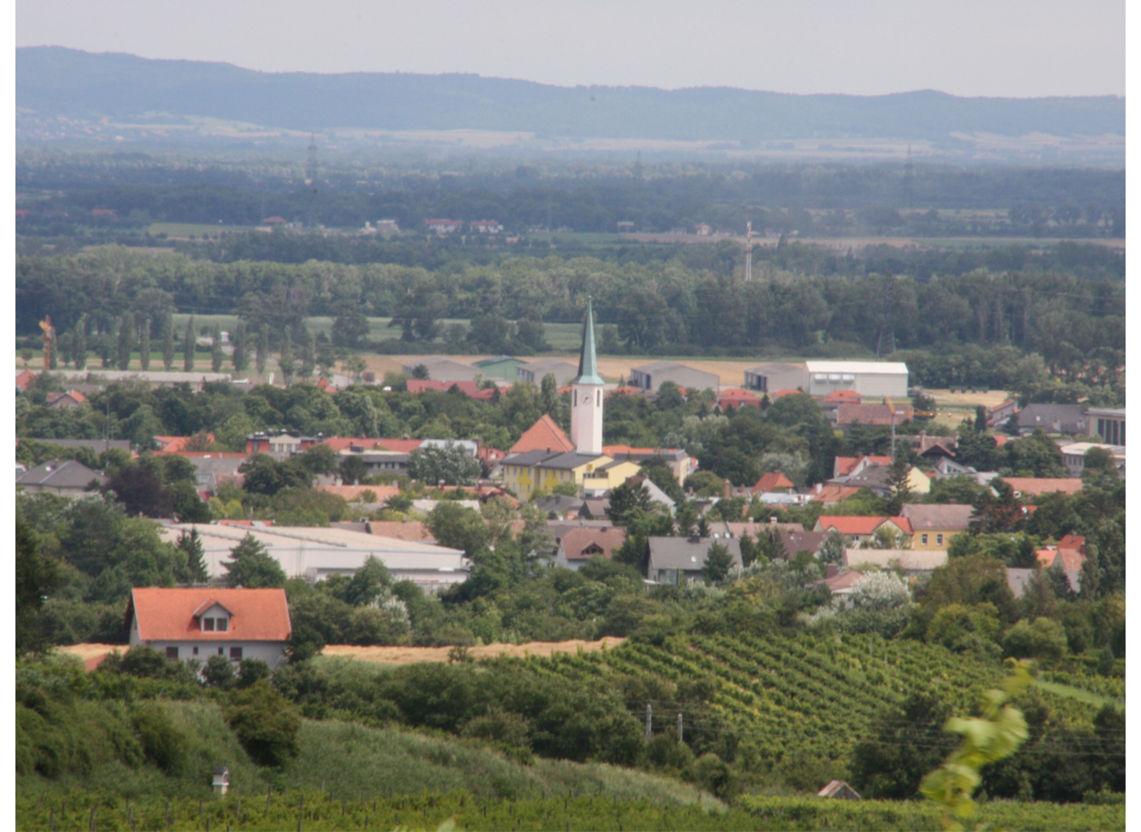 Einzelstellplatz im Weinberg — Vinícola in Guntramsdorf