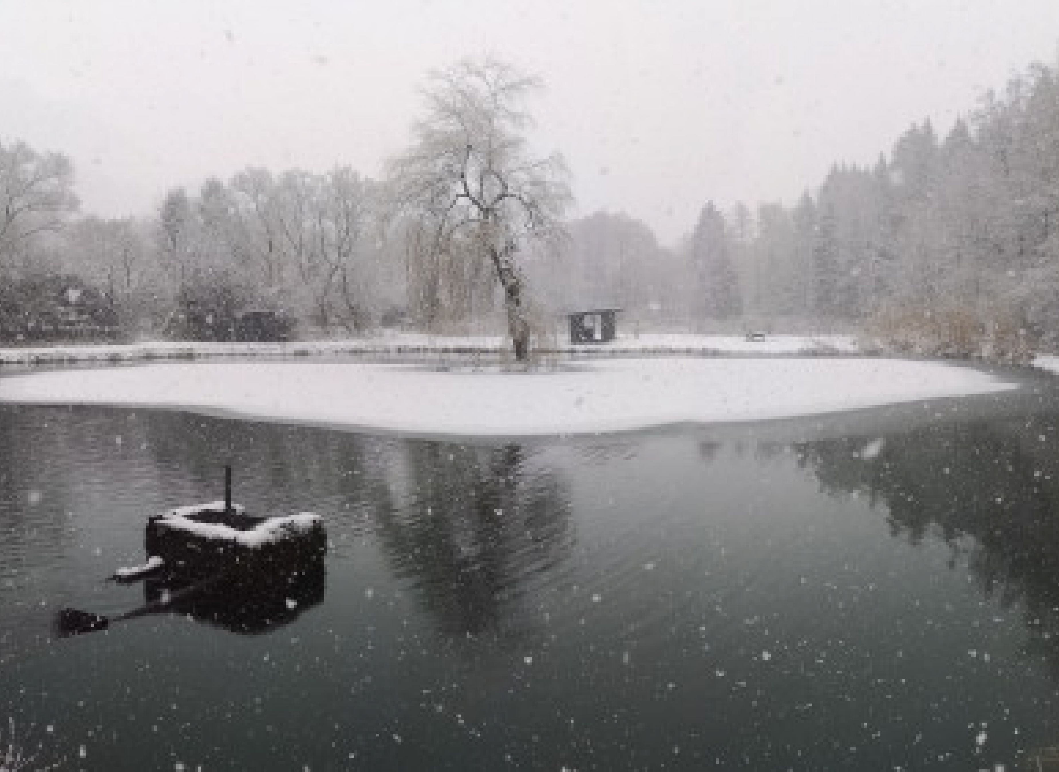Ruhiger Stellplatz in einem Angelpark — Aire camping car in Gummersbach
