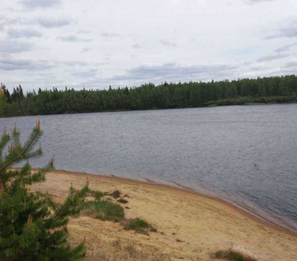 Camping Vajusuvanto — Photo 3