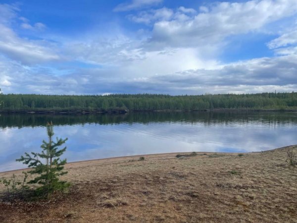 Camping Vajusuvanto — Foto 6
