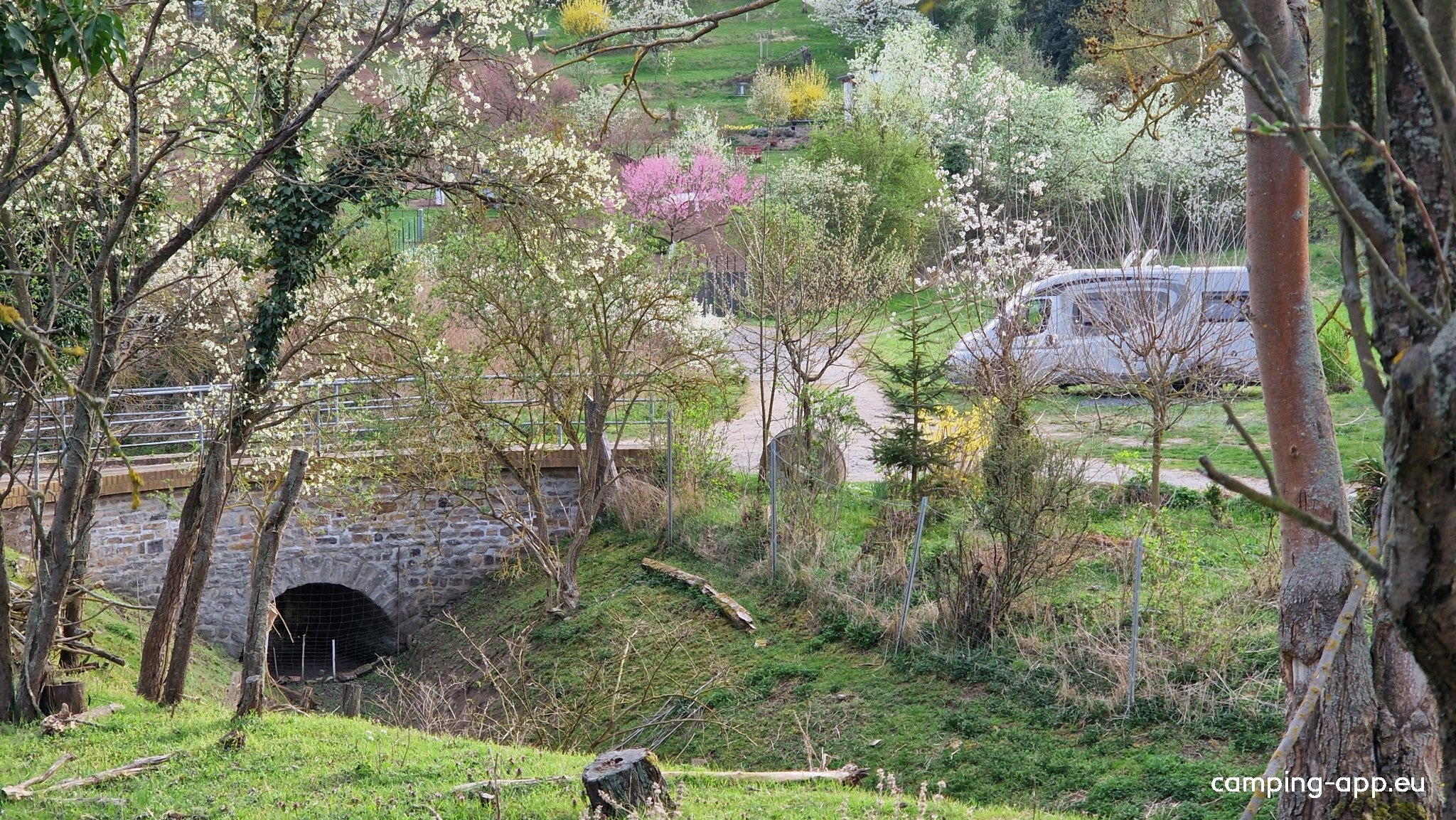 Weingut Rollsdorfer Mühle — Vignoble in Seegebiet Mansfelder Land